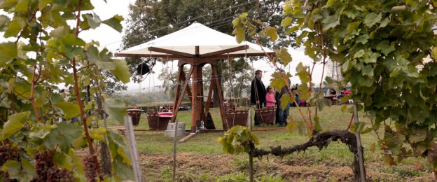 czegle-laszlo-famindenit-slides-fakorhinta